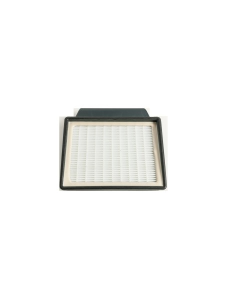 04365078 Filtro Hepa T177 Telios