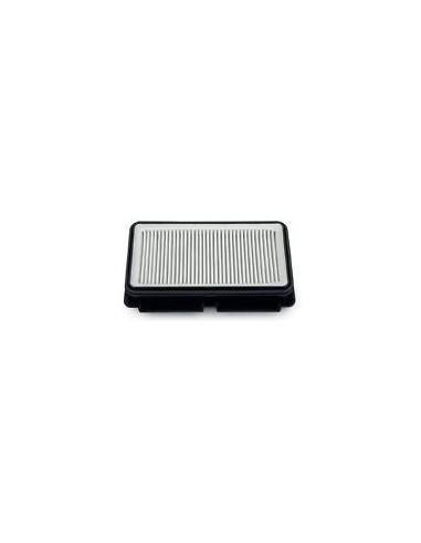 ZR902501 Filtro HEPA Rowenta Tefal Silence Force Multi Cyclonic