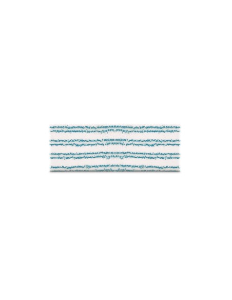 PAEU0340 Kit 2 panni Vaporflexi Polti in microfibra