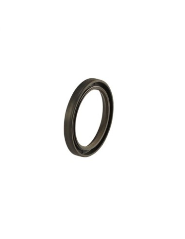 1027 A Paraolio esterno motori 500-600-1200 W Reber HP 0,40/0,80