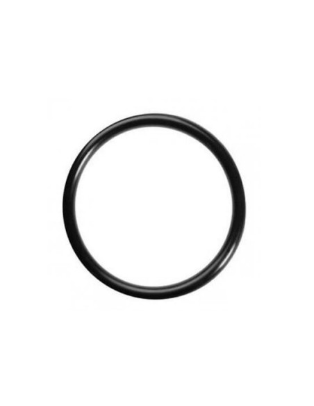 32488 Guarnizione o-ring tappo tanica Pulilava SP600 Folletto