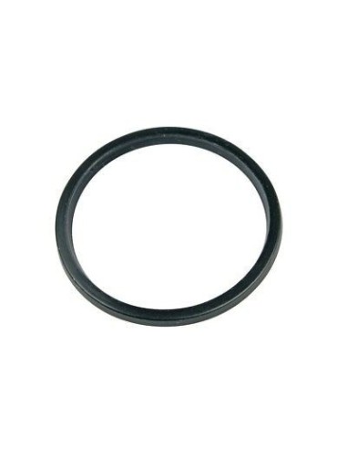996530073492 Guarnizione piattello mobile forat.camera infusione A Modo Mio serie SIN029 Saeco Philips