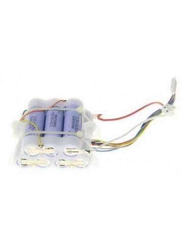 5519210741 Batteria per scopa elettrica Colombina De Longhi