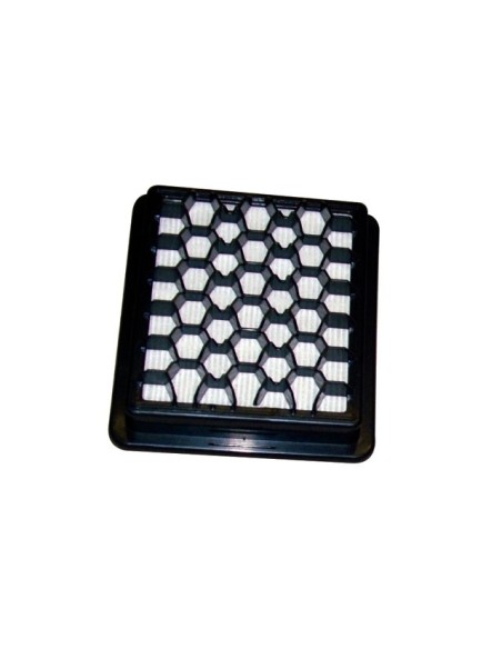 35600772 Filtro pre-motore Hepa S89 per aspirapolvere Telios Hoover