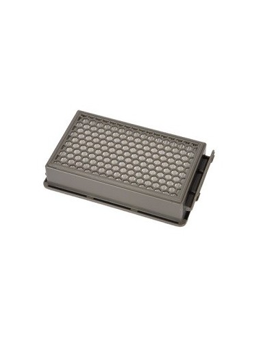 ZR903501 Filtro Compact Power, Compact Power Cyclonic, Powerline Extreme Cyclonic Rowenta