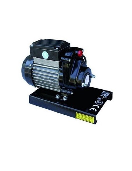 9600 N Motoriduttore HP 0,30, 450W  per grattugia elettrica multifunzione, Reber